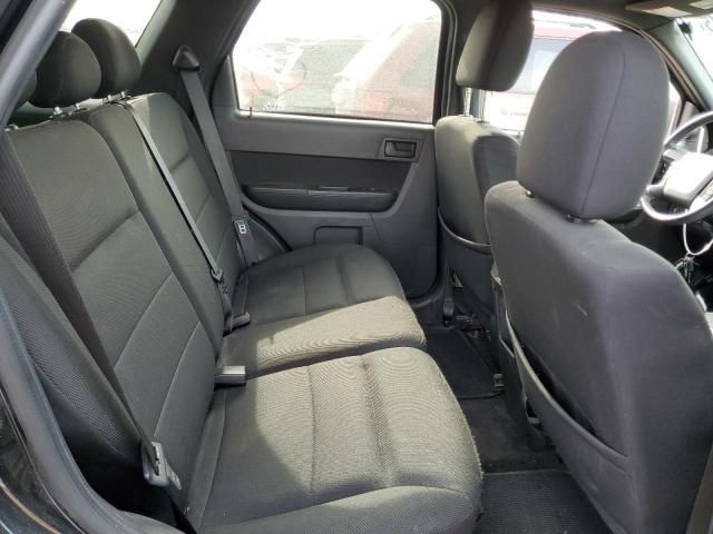 2009 Ford Escape XLT