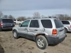 2005 Ford Escape XLT