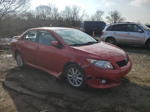 2010 Toyota Corolla Base