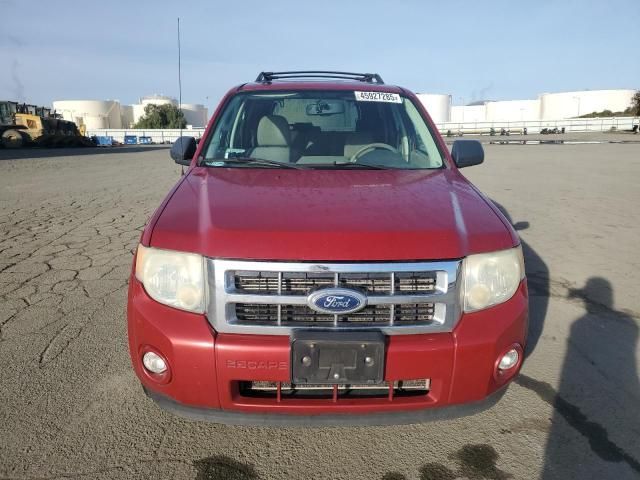 2010 Ford Escape XLT