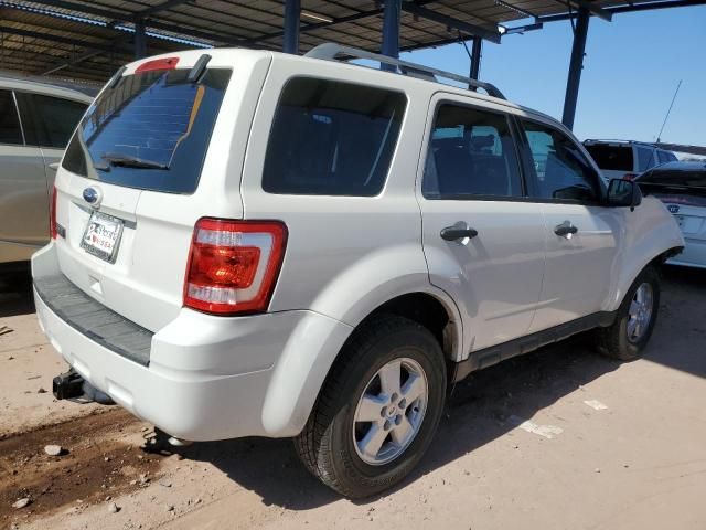 2011 Ford Escape XLS