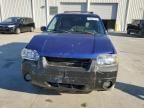 2005 Ford Escape XLT