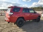 2024 Toyota 4runner SR5/SR5 Premium