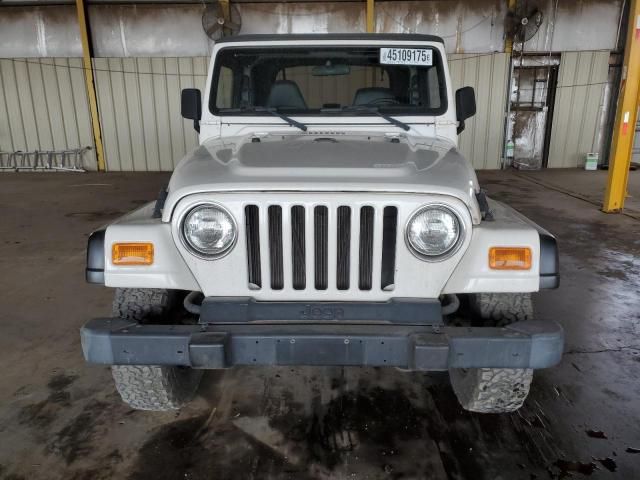 2002 Jeep Wrangler / TJ SE