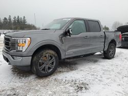 2023 Ford F150 Supercrew en venta en Bowmanville, ON