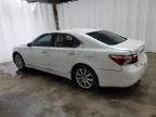 2009 Lexus LS 460