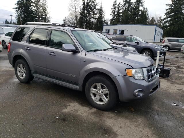 2008 Ford Escape HEV