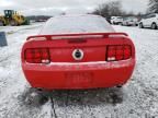 2006 Ford Mustang GT