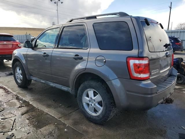 2009 Ford Escape XLT