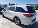 2024 Honda Odyssey EXL