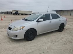 Lots with Bids for sale at auction: 2010 Toyota Corolla Base