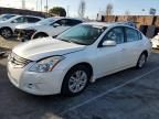 2010 Nissan Altima Base