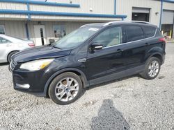 Salvage cars for sale at Earlington, KY auction: 2015 Ford Escape Titanium