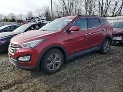 Salvage cars for sale at Windsor, NJ auction: 2014 Hyundai Santa FE Sport