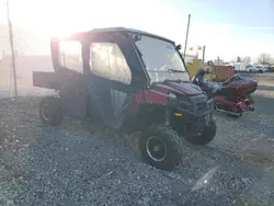 Salvage motorcycles for sale at Cicero, IN auction: 2010 Polaris Ranger 800 Crew EPS