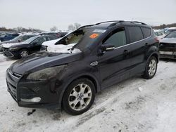 Ford Escape sel salvage cars for sale: 2013 Ford Escape SEL