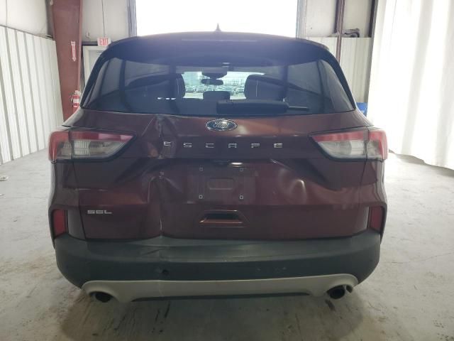 2021 Ford Escape SEL