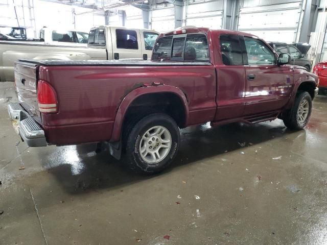 2001 Dodge Dakota