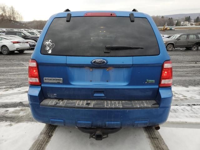 2011 Ford Escape XLT