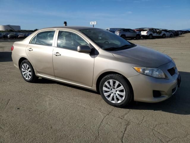 2010 Toyota Corolla Base