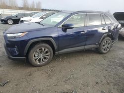 Salvage cars for sale at Arlington, WA auction: 2023 Toyota Rav4 Limited