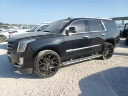 Salvage cars for sale at West Palm Beach, FL auction: 2015 Cadillac Escalade Premium