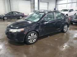 Salvage cars for sale at Ham Lake, MN auction: 2013 KIA Forte EX