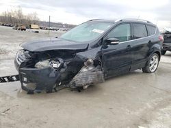 Salvage cars for sale at Cahokia Heights, IL auction: 2016 Ford Escape Titanium