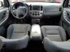 2004 Ford Escape XLT