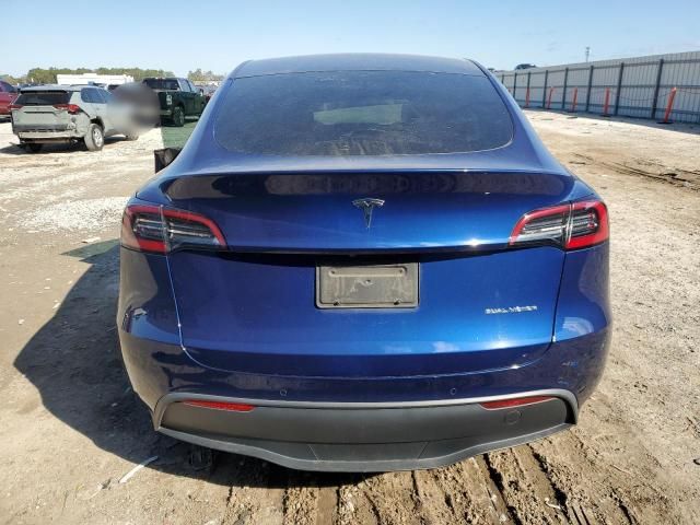 2020 Tesla Model Y