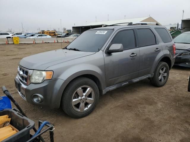 2009 Ford Escape Limited