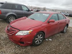 Salvage cars for sale at Magna, UT auction: 2010 Toyota Camry Base