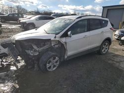 Ford Escape se salvage cars for sale: 2016 Ford Escape SE