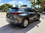 2024 Lexus NX 250 Premium