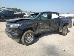 Salvage cars for sale at Harleyville, SC auction: 2024 Chevrolet Colorado LT