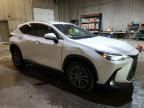 2022 Lexus NX 250