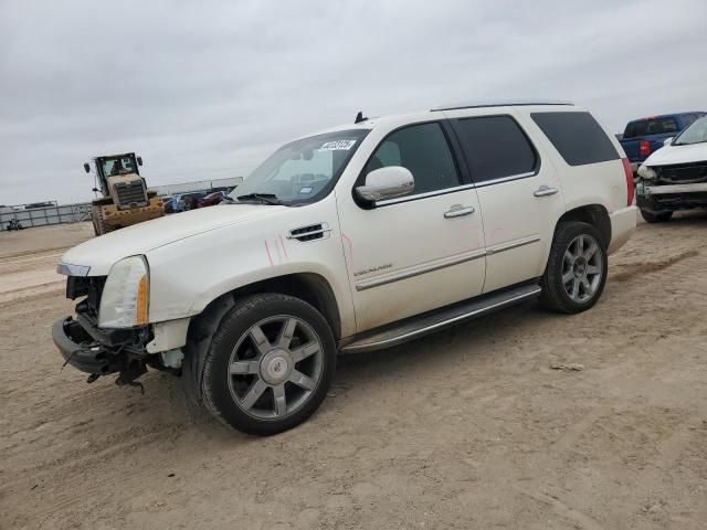 2009 Cadillac Escalade Luxury