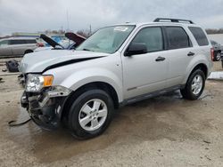 Salvage cars for sale at Louisville, KY auction: 2008 Ford Escape XLT