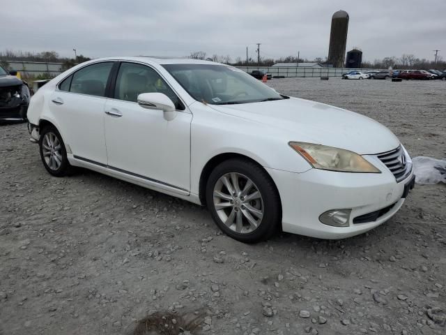 2010 Lexus ES 350