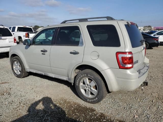 2009 Ford Escape XLT