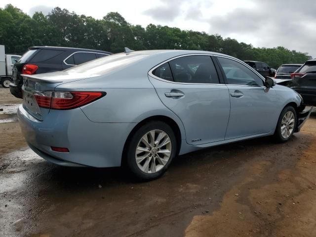 2013 Lexus ES 300H