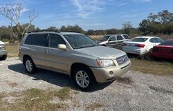 Salvage cars for sale at Apopka, FL auction: 2006 Toyota Highlander Hybrid