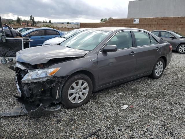 2007 Toyota Camry Hybrid