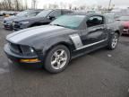 2009 Ford Mustang