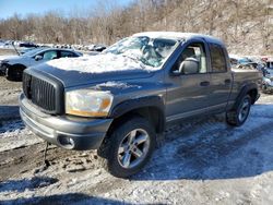 Dodge Vehiculos salvage en venta: 2006 Dodge RAM 1500 ST