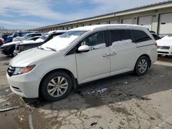 Vehiculos salvage en venta de Copart Louisville, KY: 2016 Honda Odyssey EXL