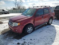 Ford Vehiculos salvage en venta: 2010 Ford Escape XLT