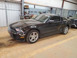 Salvage cars for sale at Mocksville, NC auction: 2010 Ford Mustang