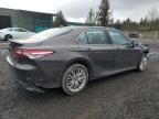 2020 Toyota Camry XLE