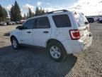 2008 Ford Escape HEV